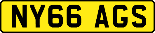 NY66AGS