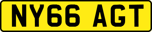NY66AGT