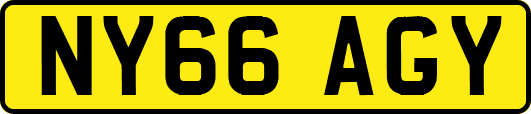 NY66AGY