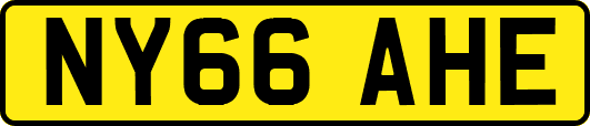 NY66AHE