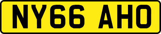 NY66AHO
