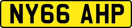NY66AHP