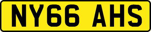 NY66AHS