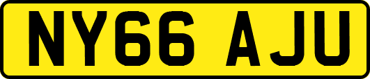 NY66AJU