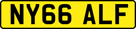 NY66ALF