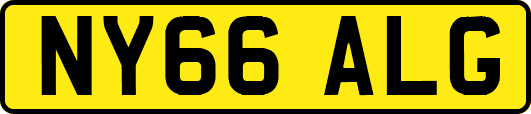 NY66ALG