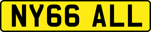 NY66ALL