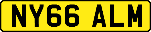 NY66ALM