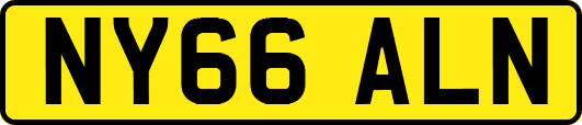 NY66ALN