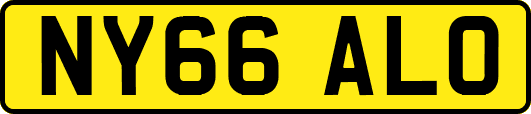 NY66ALO