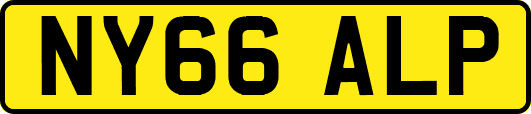 NY66ALP