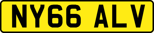 NY66ALV