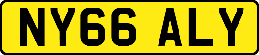 NY66ALY
