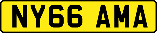 NY66AMA