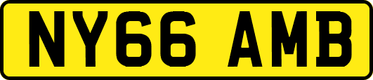 NY66AMB