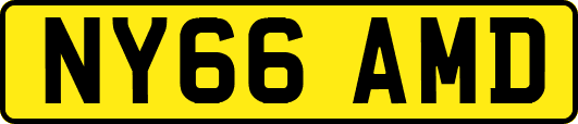 NY66AMD