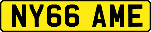 NY66AME