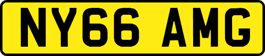 NY66AMG