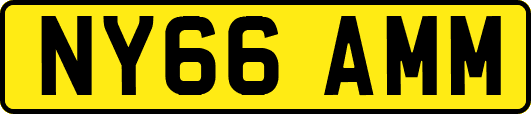 NY66AMM