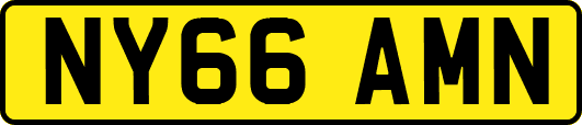 NY66AMN
