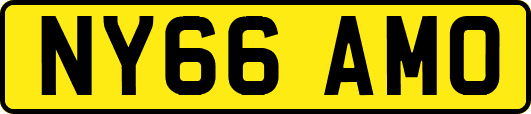 NY66AMO