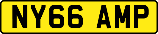 NY66AMP