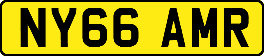NY66AMR