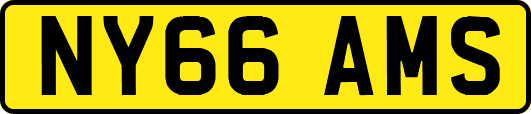NY66AMS