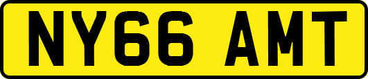NY66AMT