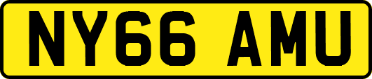 NY66AMU