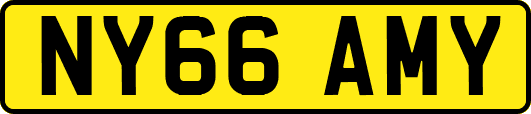 NY66AMY