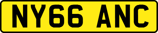 NY66ANC