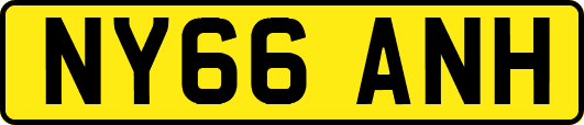 NY66ANH