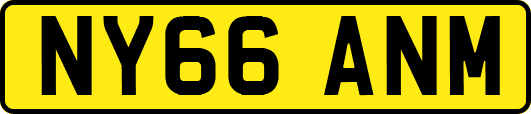 NY66ANM
