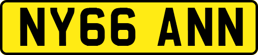 NY66ANN
