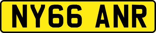 NY66ANR