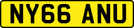 NY66ANU