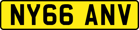 NY66ANV