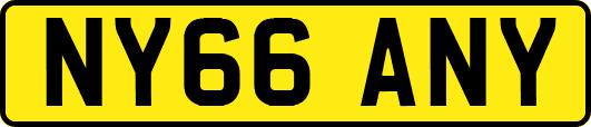 NY66ANY