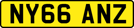 NY66ANZ
