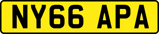NY66APA