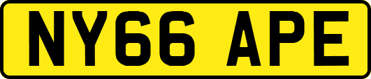 NY66APE