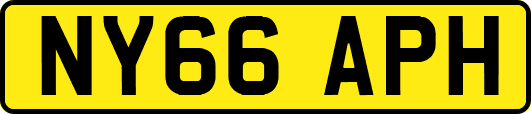 NY66APH