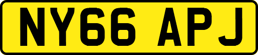 NY66APJ