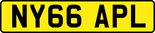 NY66APL