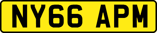 NY66APM