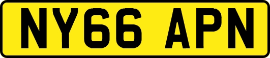 NY66APN