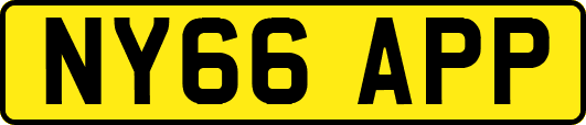NY66APP