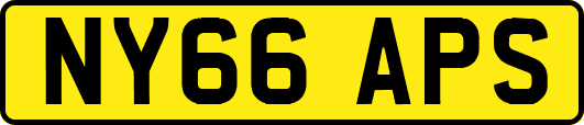 NY66APS