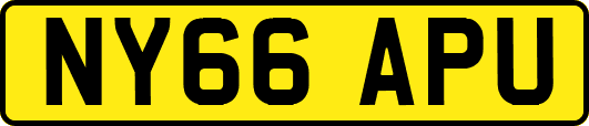 NY66APU